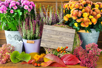 Herbst Dekoration mit Blumen Hygge