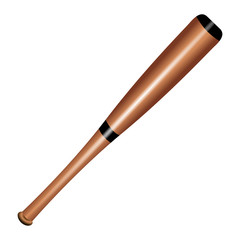 Isolated baseball bat