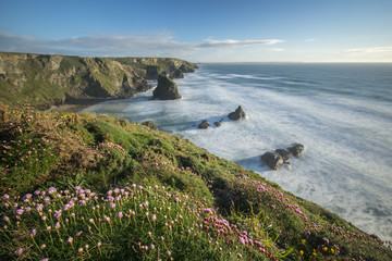 Fototapeta premium A view from the clifftops at Bedruthan Steps in Cornwall.