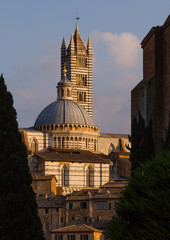 Duomo di Siena