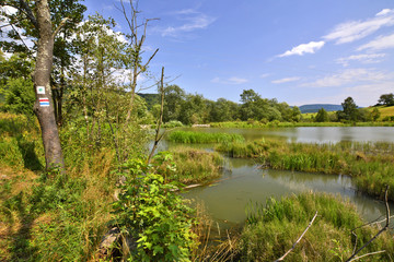 Village pond, Ropki, Beskid Niski