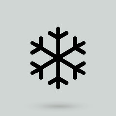 Vector snowflake Icon