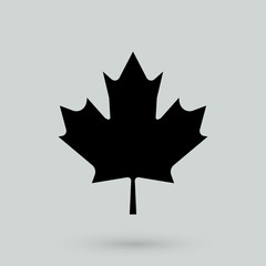 Maple Leaf vector icon.