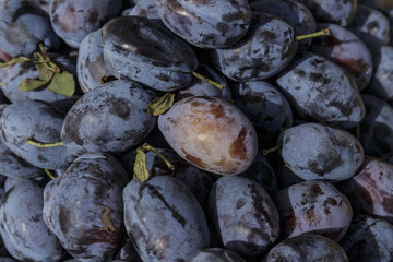 Vegan food. Fresh Plum, isolated background