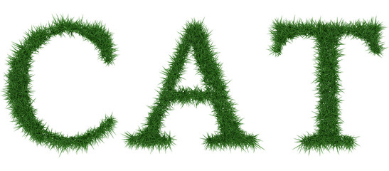 Cat - 3D rendering fresh Grass letters isolated on whhite background.