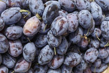 Vegan food. Fresh Plum, isolated background