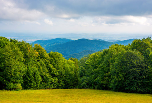 Fototapeta Photo of green forest and valley in Carpathian mountains
