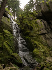 beautiful waterfall in the forest