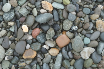 sea pebbles