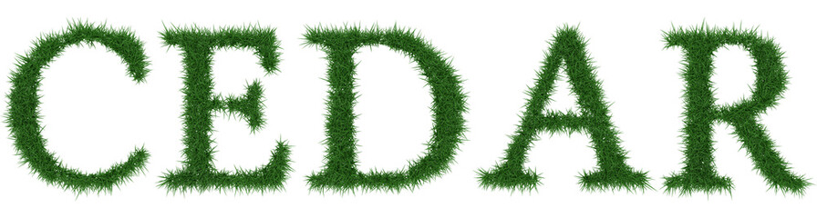 Cedar - 3D rendering fresh Grass letters isolated on whhite background.