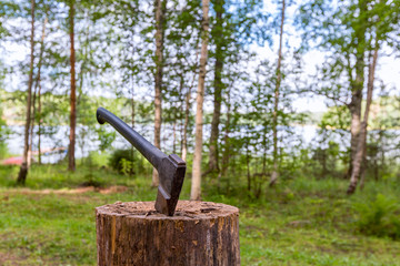 Old axe in log with lake on background, Finland