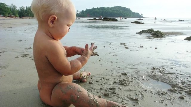 A child is playing in the wet sand on the beach.