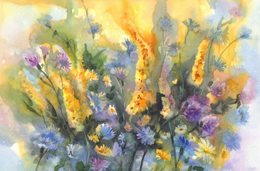 Fototapeta na wymiar summer meadow flowers watercolor background