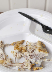 Chicken Bones