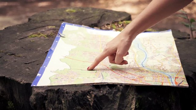 Female hand checking map on the trunk in the forest
