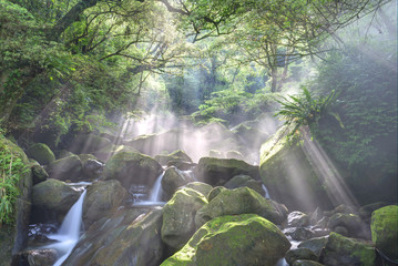 Refreshing cascades in a mysterious forest with sunbeams shining through the misty air in lavish greenery ~ Beautiful river scenery of Taiwan in springtime