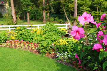 Obraz premium Garden with flowers