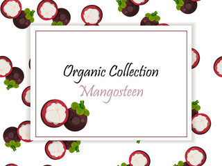 Vintage fruit poster beach design with mangosteen character.