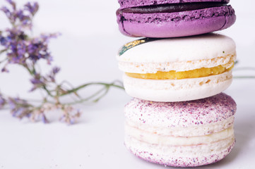 colorful macaroon cakes  against white background