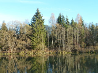 Beautiful lake and mixed forest in the winter