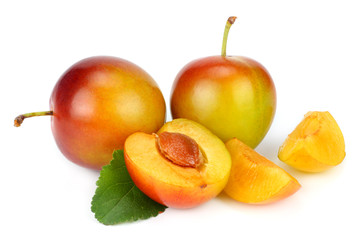 fresh plum fruit isolated on white background