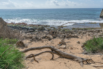 Beach with rocks, dead wood, green shrubs, and the ocean blue, on a cloudy day, along the Heritage Trail, on Kauai