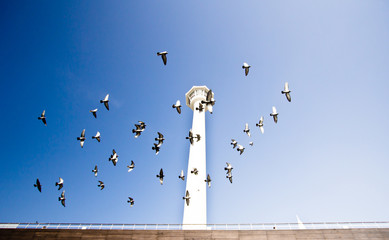 Fototapete bei efototapeten.de bestellen   