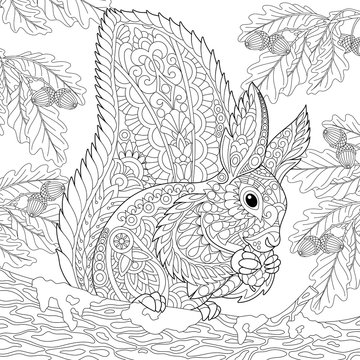 Coloring page of squirrel sitting on oak tree branch and eating pine cone. Freehand sketch drawing for adult antistress coloring book in zentangle style.