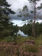 Unwetter naht über Pietzmoor