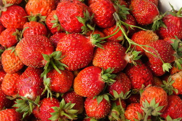 A beautiful bouquet of garden festive flowers.