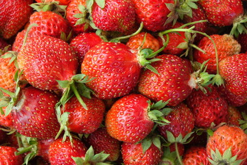 A beautiful bouquet of garden festive flowers.