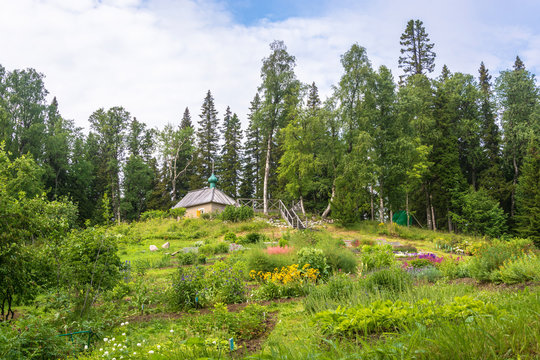 In the Botanical garden of the Solovetsky Islands.