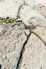 Close up detail of patterns of erosion in beach sandstone
