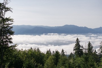 View from mountains with cloudy inversion below. Slovakia