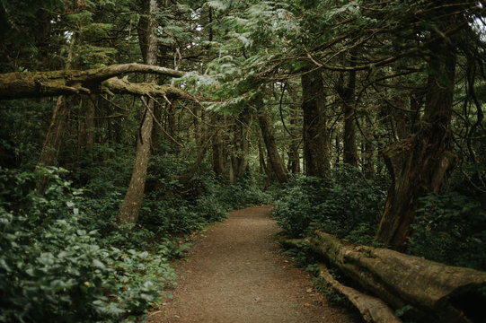 Hiking the Wild Pacific Trail in Ucluelet, British Columbia
