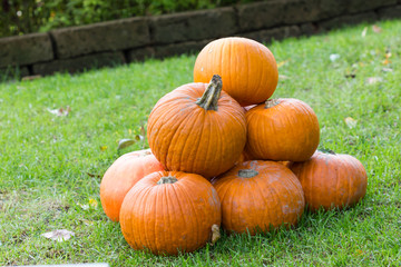 Orange pumpkins for Halloween Party