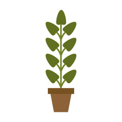 potted plant icon image vector illustration design 