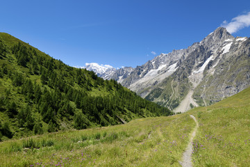 Mountain path overlooking Mont Blanc. Tour du Mont Blanc