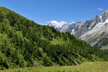 Fototapeta na wymiar Mountain path overlooking Mont Blanc. Tour du Mont Blanc
