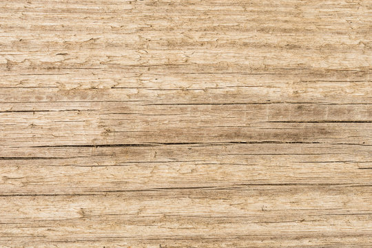 old wood texture background, structure of a natural untreated wooden surface with peeling fibers and cracks
