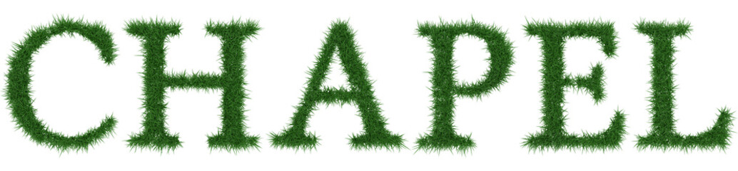 Chapel - 3D rendering fresh Grass letters isolated on whhite background.