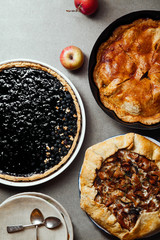 Variety of autumn pies: blueberry tart, chantarelle galette and classical apple pie with sweet pastry crust. Harvest time baking concept. Concrete rustic background.