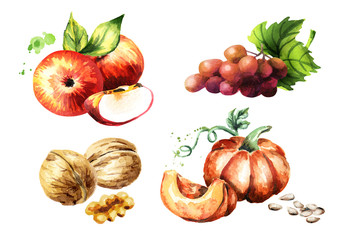 Autumn harvest set. Watercolor hand-drawn illustration
