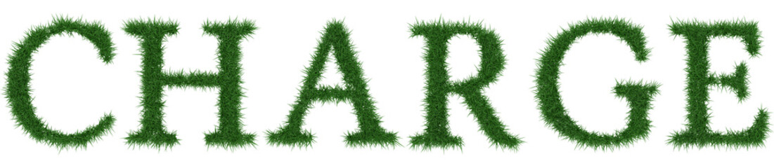 Charge - 3D rendering fresh Grass letters isolated on whhite background.