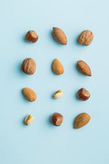 Different types of nuts in the nutshell.