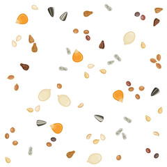 Seamless pattern of oilseeds / Solid fill seamless pattern of corn, grape seeds, rape, sesame, sunflower, and cottonseeds
