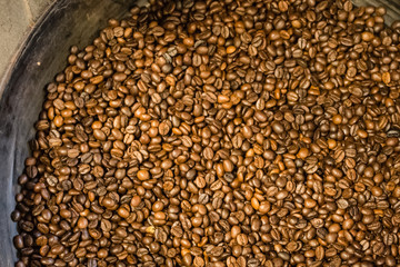 coffee bean