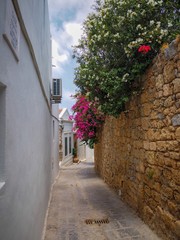 Greek Street © Pefkos