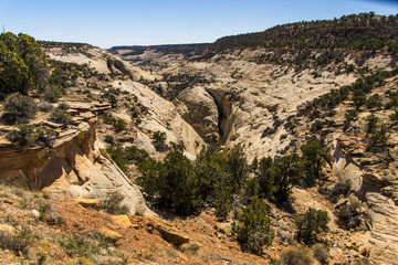 Upper Calf Creek Canyon in the Grand staircase