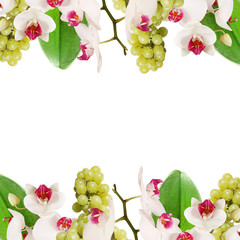 Beautiful floral background of grapes and orchids 